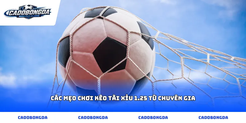 Các mẹo chơi kèo tài xỉu 1.25 từ chuyên gia