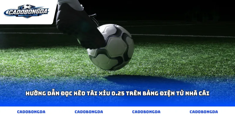 Hướng dẫn đọc kèo tài xỉu 0.25 trên bảng điện tử nhà cái