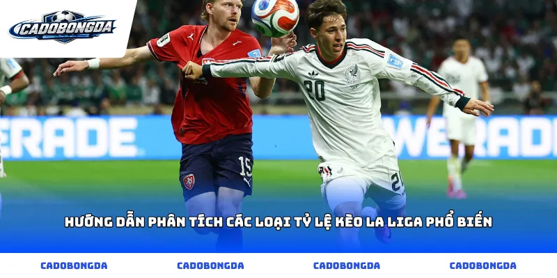 Hướng dẫn phân tích các loại Tỷ lệ kèo La Liga phổ biến