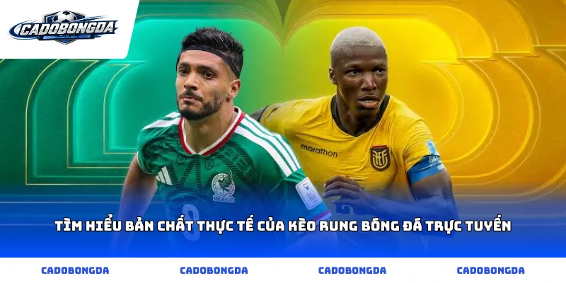 Tìm hiểu bản chất thực tế của kèo rung bóng đá trực tuyến