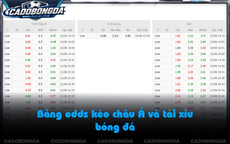 Kiến thức bóng đá hỗ trợ đọc kèo chính xác hơn