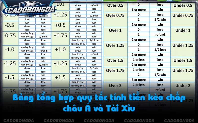Hướng dẫn cách đọc kèo bóng đá châu Á, châu Âu và Tài Xỉu