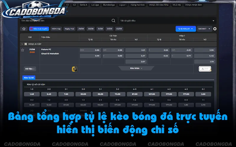 Người dùng cần chủ động xác minh khi có biến động tỷ lệ cược