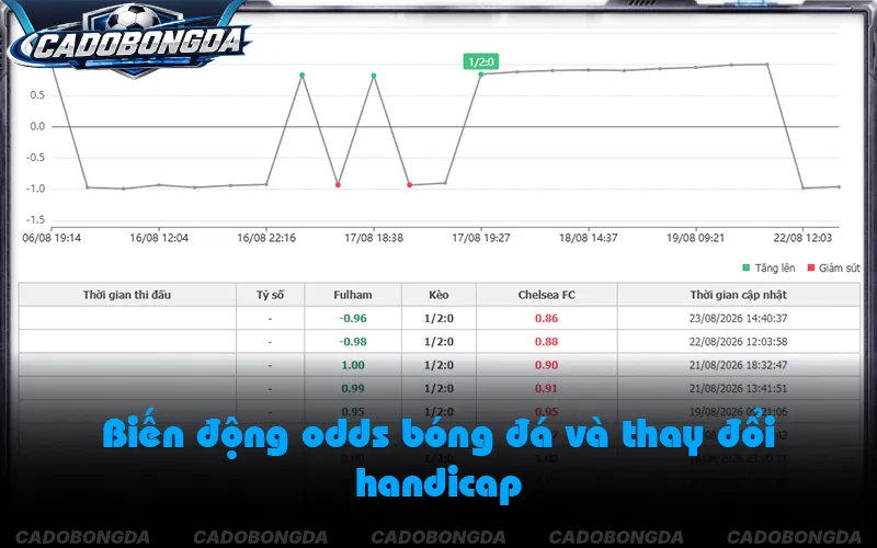 Theo dõi biến động odds từ lúc mở kèo đến sát giờ bóng lăn