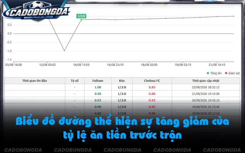 Biến động tỷ lệ cược và dấu hiệu nhận diện kèo dụ từ nhà cái