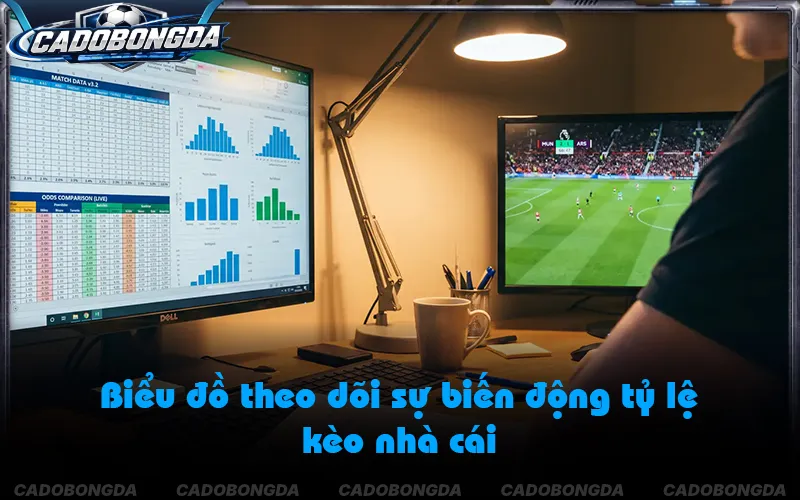 Nhận diện biến động kèo qua phân tích của đội ngũ chuyên gia