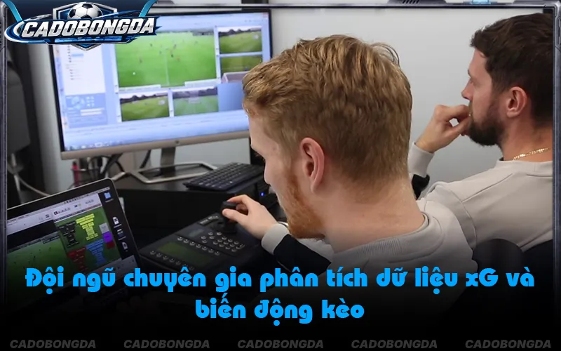 Quy trình bóc tách dữ liệu bóng đá trước giờ bóng lăn