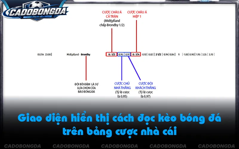 Bảng tỷ lệ kèo nhà cái trực tuyến với các thông số cược