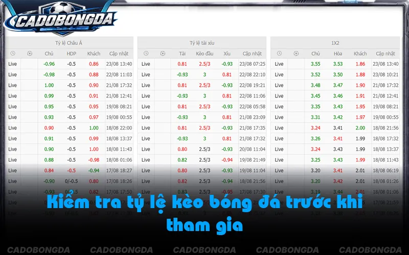Hệ thống kèo bóng đá cần cập nhật tỷ lệ rõ ràng