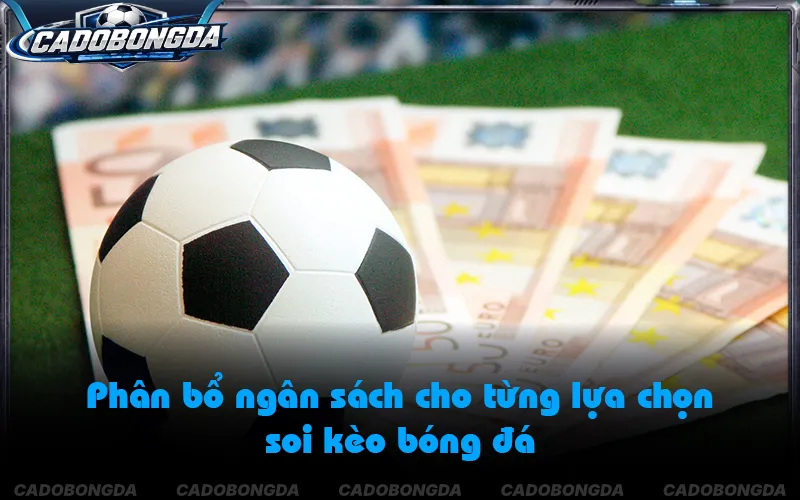 Áp dụng cách đọc kèo bóng đá chuẩn cùng kế hoạch quản lý vốn