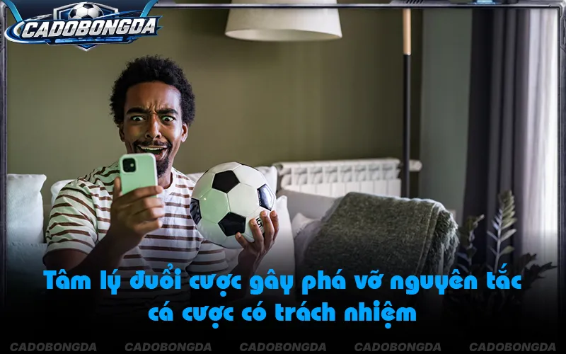 Tâm lý gỡ gạc khiến người chơi dễ rơi vào vòng xoáy mất kiểm soát