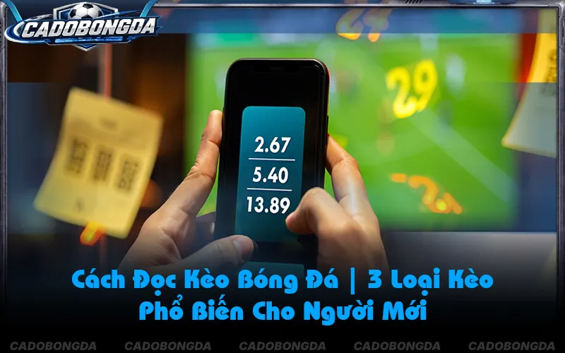 Kiến Thức Bóng Đá: 3 Cẩm Nang Đọc Trận Và Soi Kèo